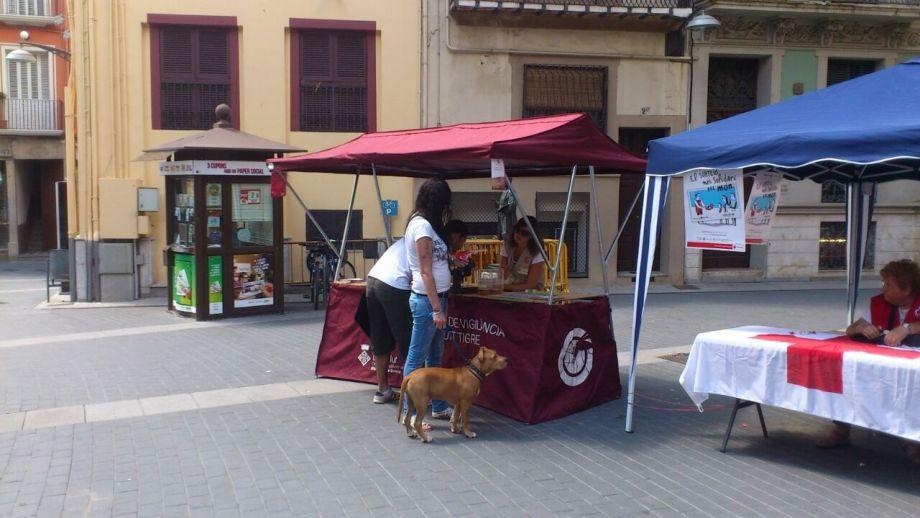estand olot