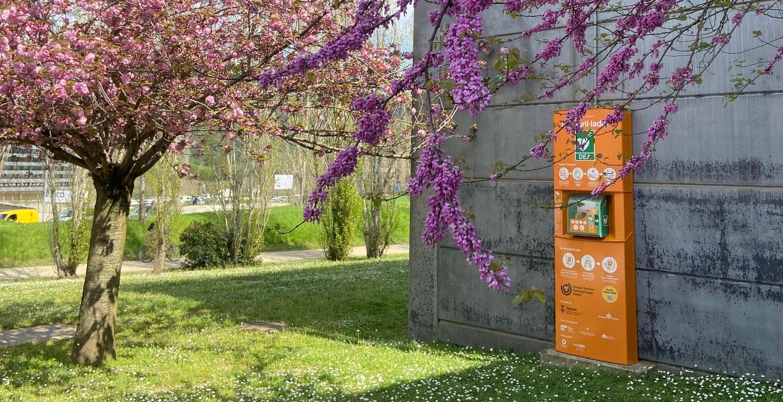 columna de DEA fixe renovada del programa Girona, territori cardioprotegit
